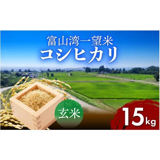 ふるさと納税 玄米 富山県 滑川市 令和7年産 富山湾一望米 コシヒカリ 玄米 容量15kg C-051001 農家直送 米 定期便 選べる 玄米 富山県滑川産お米 産地直送 …