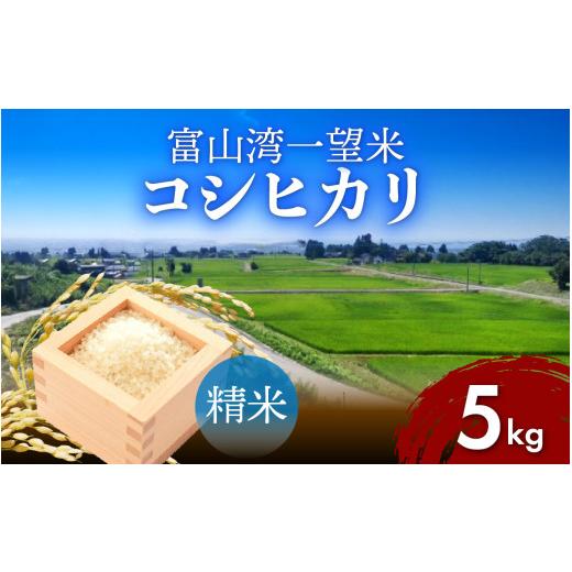 ふるさと納税 米 コシヒカリ 富山県 滑川市 令和7年産 富山湾一望米 コシヒカリ 精米 容量5kg A-051001 農家直送 米 定期便 選べる 精米 富山県滑川産お米 産…