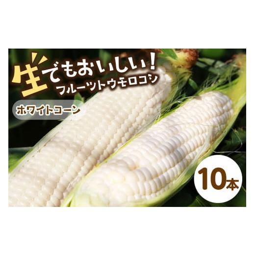 ふるさと納税 とうもろこし 京都府 京丹後市 先行予約 生食も 高糖度 もぎたて フルーツトウモロコシ「ホワイトコーン」(2026年6月下旬〜発送) DE00134 ホ…