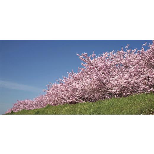 ふるさと納税 ゴルフグッズ クラブ 栃木県 小山市 ゴルフクラブ　アイアン　GEKI SPIN2　激スピンウェッジ　#58°　フレックスR　 特別仕様 1572128_5