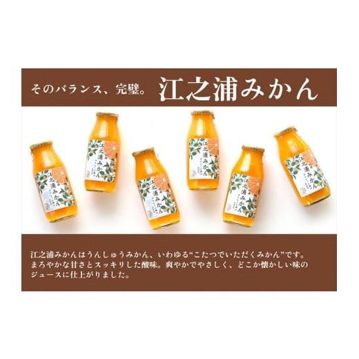 ふるさと納税 果汁飲料 みかん 神奈川県 小田原市  定期便 （2カ月ごと全6回） 小田原産江之浦みかん１００％ストレートジュース１８０ml３０本の画像