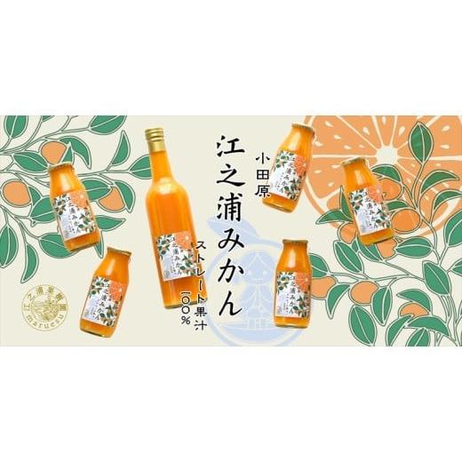 ふるさと納税 果汁飲料 みかん 神奈川県 小田原市  定期便 （2カ月ごと全6回） 小田原産江之浦みかん１００％ストレートジュース１８０ml３０本の画像