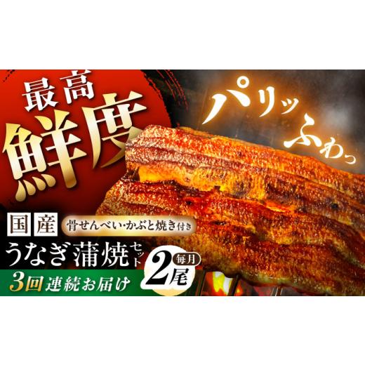 ふるさと納税 うなぎ 岐阜県 白川町 3回定期便 備長炭 国産 うなぎの蒲焼 2尾 計 260g 以上 セット 冷凍 ／ 定期便 全3回 合計6尾 うなぎ 鰻 ウナギ unagi 土…_1