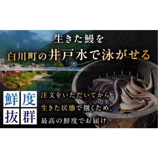 ふるさと納税 うなぎ 岐阜県 白川町 3回定期便 備長炭 国産 うなぎの蒲焼 2尾 計 260g 以上 セット 冷凍 ／ 定期便 全3回 合計6尾 うなぎ 鰻 ウナギ unagi 土…_3