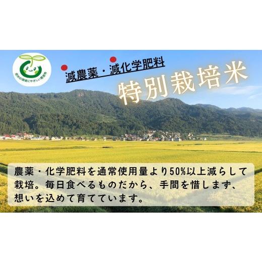 ふるさと納税 玄米 長野県 飯山市  令和8年新米予約 特別栽培米 「かまくらの里 コシヒカリ」 玄米 30kg （30kg×1袋）｜長野県 飯山市 新米 お米 米 コメ ご…の画像