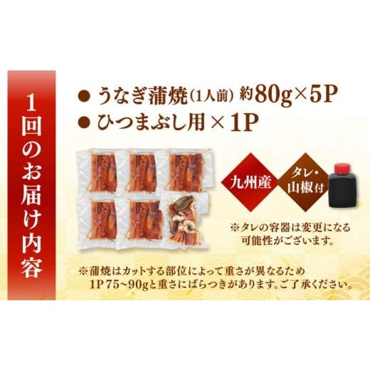 ふるさと納税 うなぎ 福岡県 桂川町 全6回定期便 うなぎの蒲焼 約80g×5Pとひつまぶしの贅沢セット うなぎ ウナギ 鰻 定期便 カット済み セット 蒲焼き 蒲焼 …_6