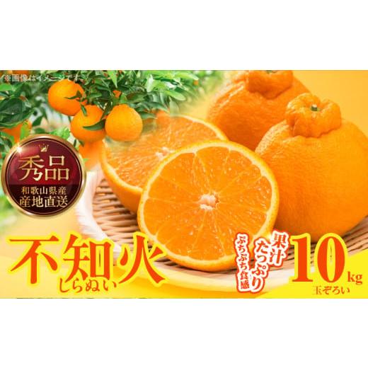 ふるさと納税 みかん・柑橘類 和歌山県 湯浅町 MK1010_不知火 (しらぬい) 秀品 玉ぞろい 箱込 10kg (内容量約9.2kg) 和歌山県産 産地直送 箱込10kg (内容量約9…