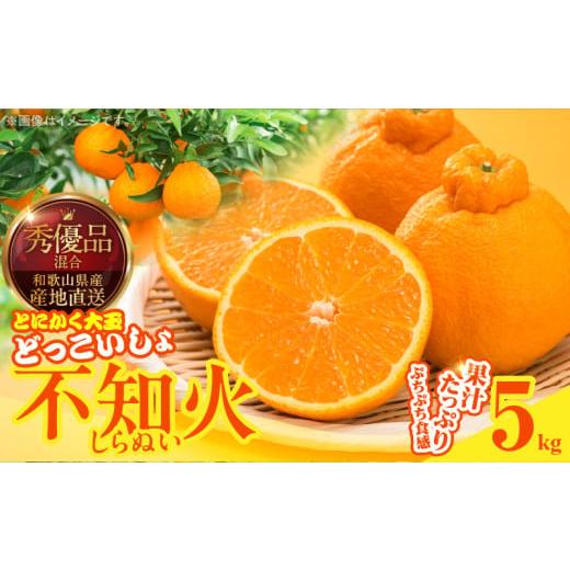 ふるさと納税 みかん・柑橘類 和歌山県 湯浅町 MK1011_不知火 (しらぬい) とにかく大玉 どっこいしょ 箱込 5kg (内容量約4.4kg) 秀品 優品 混合 和歌山県産 産…