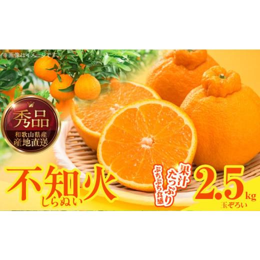 ふるさと納税 みかん・柑橘類 和歌山県 湯浅町 MK1014_不知火 (しらぬい) 秀品 玉ぞろい 箱込 2.5kg (内容量約2.3kg) 和歌山県産 産地直送 清見オレンジ ポン…
