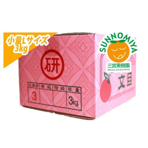 ふるさと納税 みかん・柑橘類 高知県 土佐市 三宮果樹園の土佐文旦 ご家庭用Lサイズ 3kg ぶんたん ブンタン 3キロ フルーツ 柑橘 みかん 果物 くだもの 柑橘類…