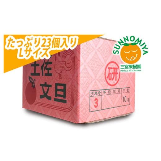 ふるさと納税 みかん・柑橘類 高知県 土佐市 三宮果樹園の土佐文旦 ご家庭用Lサイズ 10kg ぶんたん ブンタン 10キロ フルーツ 柑橘 みかん 果物 くだもの 柑橘…