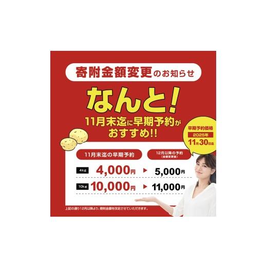 ふるさと納税 野菜類 じゃがいも 北海道 池田町 北海道産 熟成