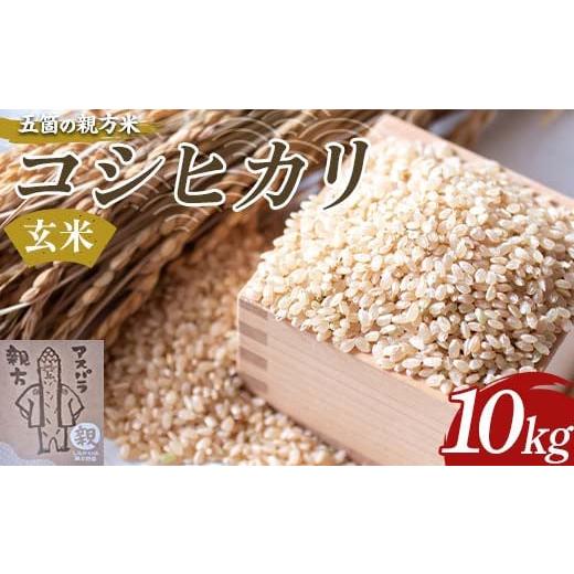 ふるさと納税 玄米 福島県 白河市 ガンバ農園 五箇の親方米 コシヒカリ玄米 10kg F23R-949 10kg