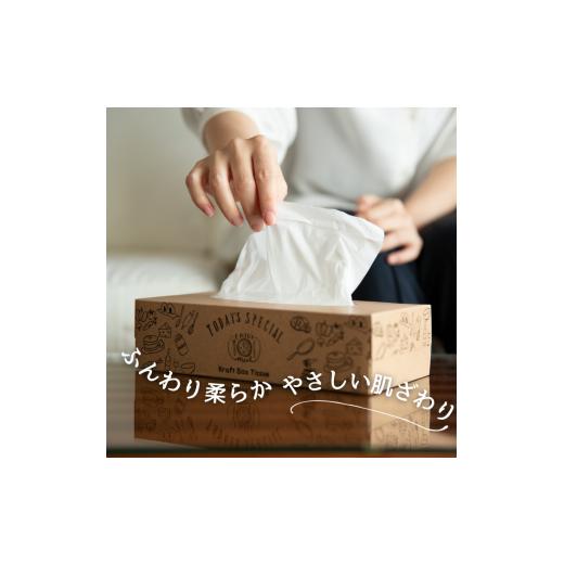 ふるさと納税 雑貨・日用品 愛媛県 四国中央市  指定日配送 エルモア ティシュー 60箱 そのまま飾れる 5個ポリ×12パック ティッシュ ティッシュペーパー ボッ… |  | 04