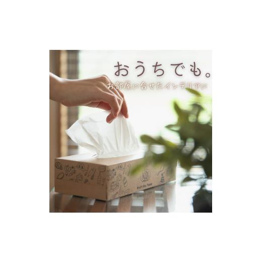 ふるさと納税 雑貨・日用品 愛媛県 四国中央市  指定日配送 エルモア ティシュー 60箱 そのまま飾れる 5個ポリ×12パック ティッシュ ティッシュペーパー ボッ… |  | 06