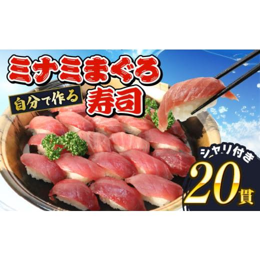 ふるさと納税 寿司 静岡県 藤枝市 寿司 マグロ ミナミまぐろ 握り 20 貫 セット 中トロ 10枚 赤身 10枚 南鮪 南まぐろ ミナミマグロ すし 加納商店 静岡県 藤…