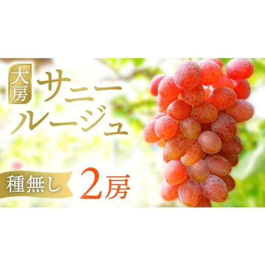 ふるさと納税 ぶどう 岩手県 紫波町 先行予約 サニールージュ 約1kg ( 2房 ) (AR031) 2026年産 ぶどう 希少品種 8月下旬発送 岩手県 紫波町産 産地直送 フル…