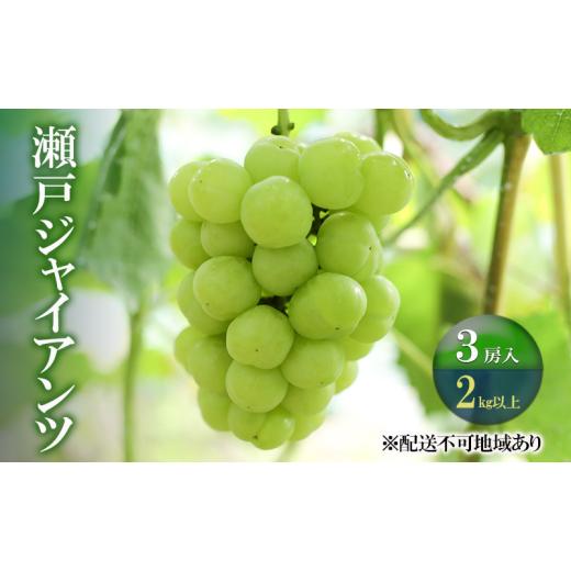ふるさと納税 ぶどう 岡山県 瀬戸内市 ぶどう 2026年 先行予約 瀬戸ジャイアンツ 3房(合計2kg以上) ブドウ 葡萄 岡山県産 国産 フルーツ 果物 ギフト 河本農園…の画像