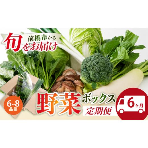 ふるさと納税 セット・詰合せ 群馬県 前橋市 季節の野菜 詰め合わせセット 6ヶ月定期便 | 野菜セット 新鮮 旬野菜 朝どれ 農家直送 旬 野菜 鮮度 赤城山麓 群…