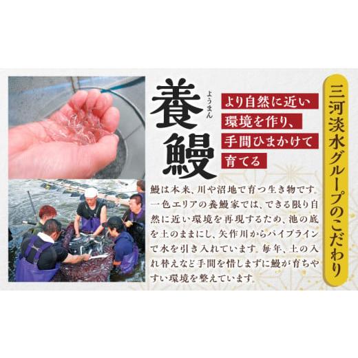 ふるさと納税 うなぎ 愛知県 西尾市  定期便 三河一色産うなぎ蒲焼 大サイズ無頭3尾入り×3回(毎月)・M117の画像