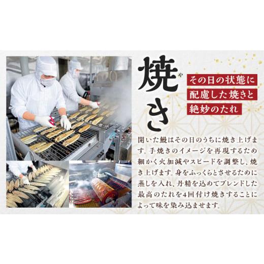 ふるさと納税 うなぎ 愛知県 西尾市  定期便 三河一色産うなぎ蒲焼 大サイズ無頭3尾入り×3回(毎月)・M117の画像
