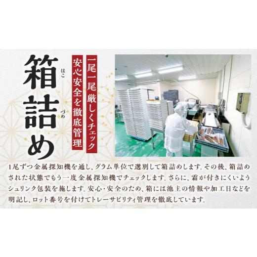 ふるさと納税 うなぎ 愛知県 西尾市  定期便 三河一色産うなぎ蒲焼 大サイズ無頭3尾入り×3回(毎月)・M117の画像