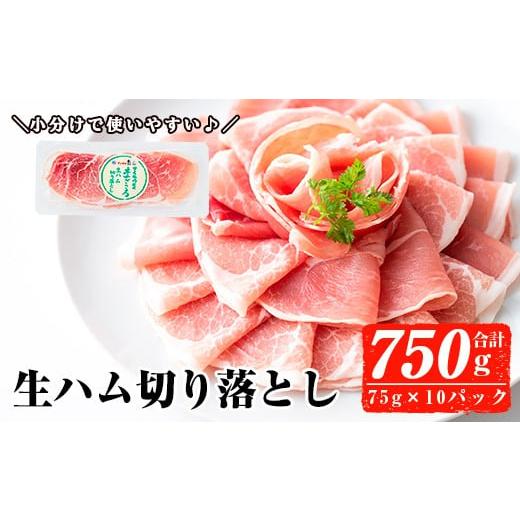 ふるさと納税 惣菜・レトルト 鹿児島県 曽於市 2025年11月中に発送予定 国産豚生ハム切り落とし75g×10P(計750g) 生ハム おつまみ 小分け ナンチク A302-11-v…