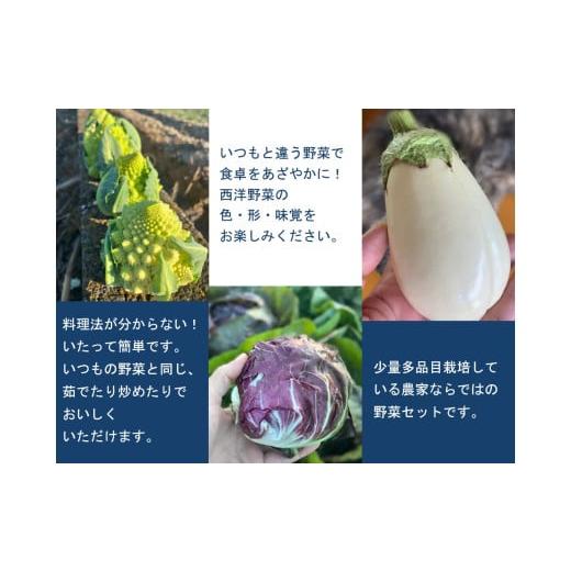 ふるさと納税 セット・詰合せ 三重県 多気町 旬の西洋野菜セットA（6種類ほど）YA-02の画像