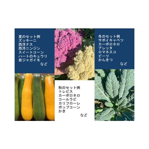 ふるさと納税 セット・詰合せ 三重県 多気町 旬の西洋野菜セットA（6種類ほど）YA-02の画像
