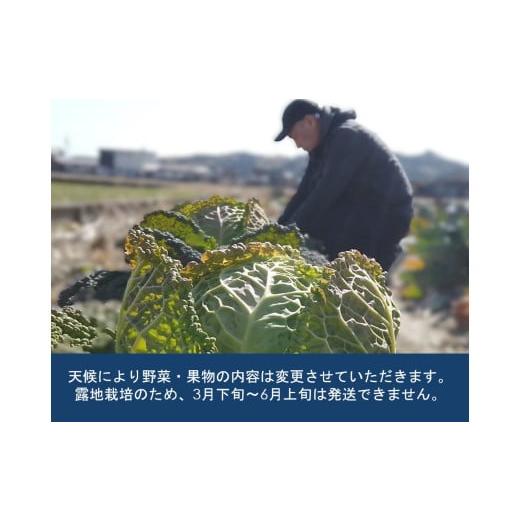 ふるさと納税 セット・詰合せ 三重県 多気町 旬の西洋野菜セットA（6種類ほど）YA-02の画像