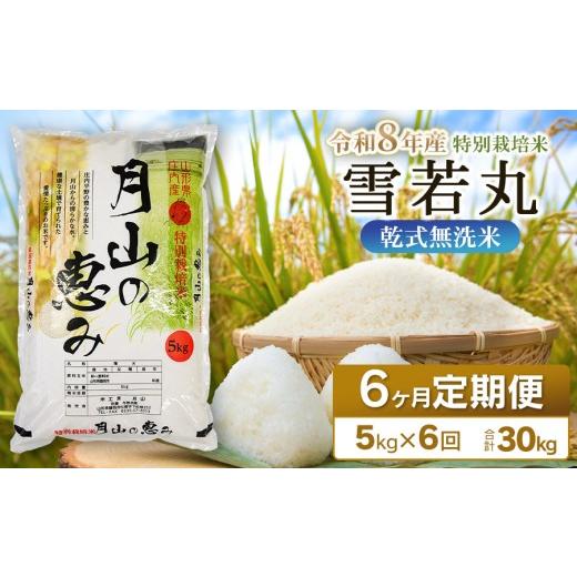 ふるさと納税 米 山形県 鶴岡市  令和8年産先行予約 6ヶ月定期便 特別栽培米 雪若丸 乾式無洗米 5kg (5kg×1袋) ×6回　毎月1回中旬発送　山形県鶴岡市産　米…_1