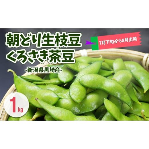 ふるさと納税 豆類 枝豆 新潟県 新潟市 夏発送 くろさき茶豆1kg 新潟県黒埼産 朝どり生枝豆