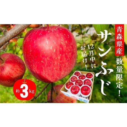 ふるさと納税 りんご 青森県 八戸市 12月中にお届け 青森県産 サンふじ 3kg りんご 年内配送 家庭用 贈答用