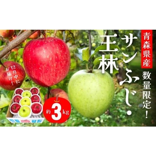 ふるさと納税 りんご 青森県 八戸市 12月中にお届け 青森県産 サンふじ・王林詰合せ 3kg りんご 年内配送 家庭用 贈答用
