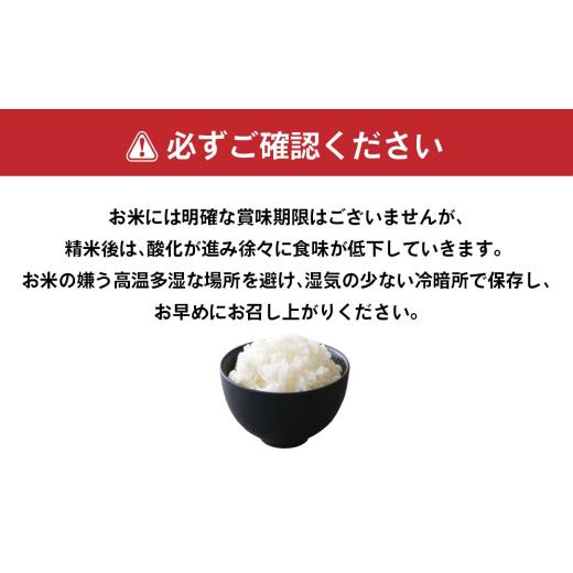 ふるさと納税 米 青森県 八戸市 3ヵ月定期便 青森県産 はれわたり 5kg 5kg×1袋 合計15kg 令和7年産 米 精米 白米 お米 青森県産_3