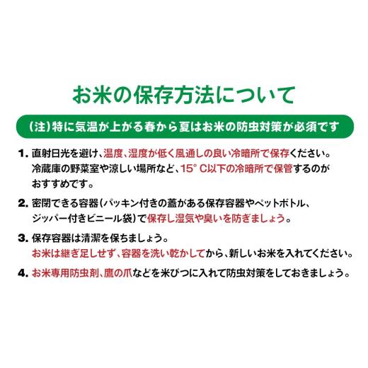ふるさと納税 米 青森県 八戸市 3ヵ月定期便 青森県産 はれわたり 5kg 5kg×1袋 合計15kg 令和7年産 米 精米 白米 お米 青森県産_4