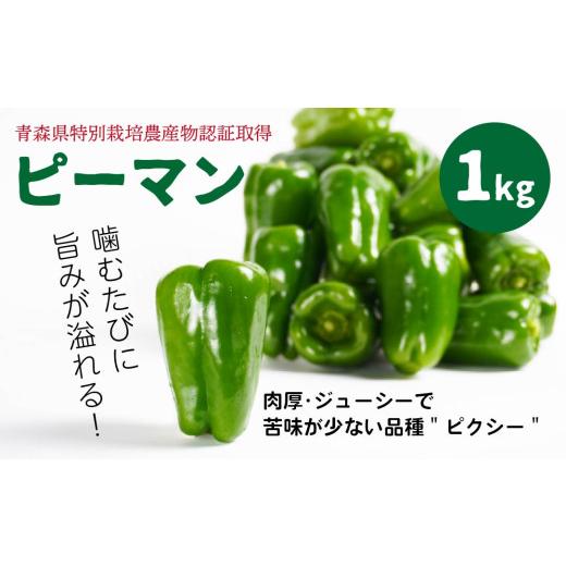 ふるさと納税 野菜類 青森県 八戸市 青森県特別栽培 ピーマン 1kg ピクシー 8月上旬〜10月前半発送