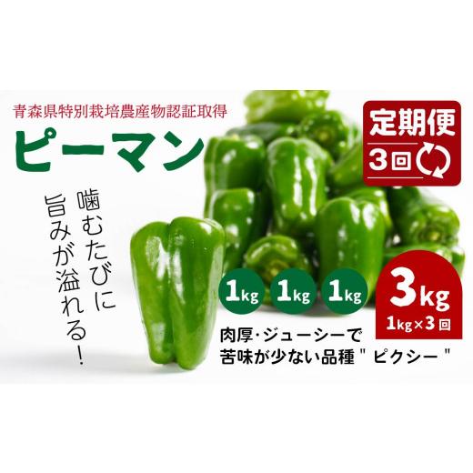 ふるさと納税 野菜類 青森県 八戸市 3回定期便 青森県特別栽培 ピーマン 1kg ピクシー