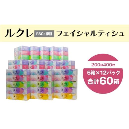 ふるさと納税 雑貨・日用品 青森県 八戸市 ルクレFSC?認証 フェイシャルティシュ ティッシュペーパー 5箱×12