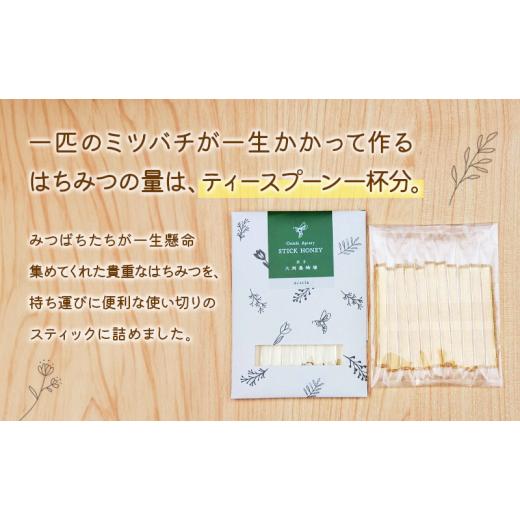 ふるさと納税 加工品等 はちみつ 岩手県 盛岡市 蜂蜜 スティックハニー あかしあ 2.5g×11本 5個セット 非加熱 個包装 盛岡産蜂蜜 はちみつ ハチミツ hatimitu…の画像