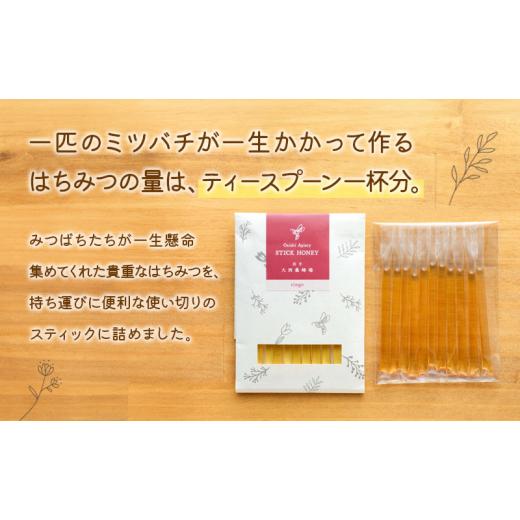 ふるさと納税 加工品等 はちみつ 岩手県 盛岡市 蜂蜜 スティックハニー りんご 2.5g×11本 5個セット 非加熱 盛岡産蜂蜜 はちみつ ハチミツ hatimitu hachimit…の画像