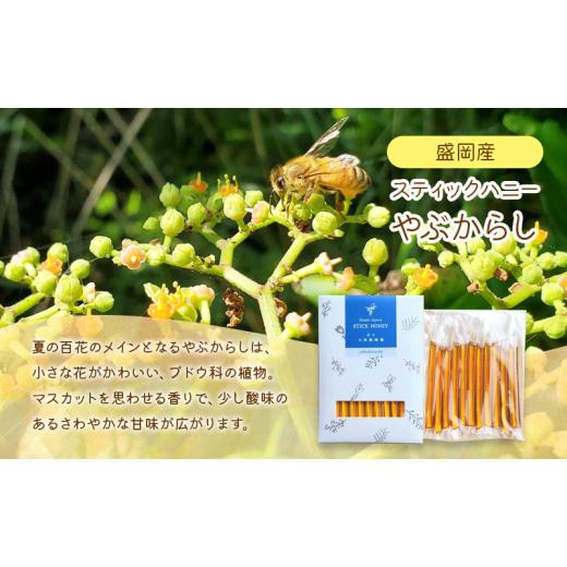 ふるさと納税 加工品等 はちみつ 岩手県 盛岡市 蜂蜜 スティックハニー やぶからし 2.5g×11本 5個セット 非加熱 盛岡産蜂蜜 はちみつ ハチミツ hatimitu hach…の画像