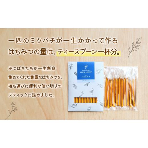 ふるさと納税 加工品等 はちみつ 岩手県 盛岡市 蜂蜜 スティックハニー やぶからし 2.5g×11本 5個セット 非加熱 盛岡産蜂蜜 はちみつ ハチミツ hatimitu hach…の画像
