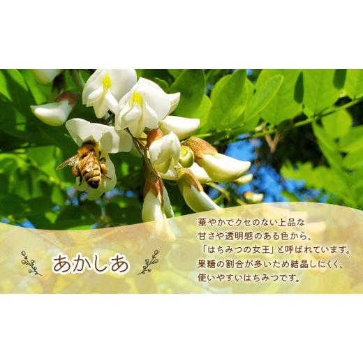 ふるさと納税 加工品等 はちみつ 岩手県 盛岡市 蜂蜜 たっぷり瓶 あかしあ 600g 2本セット アカシア 非加熱 盛岡産蜂蜜 はちみつ ハチミツ hatimitu hachimits…の画像