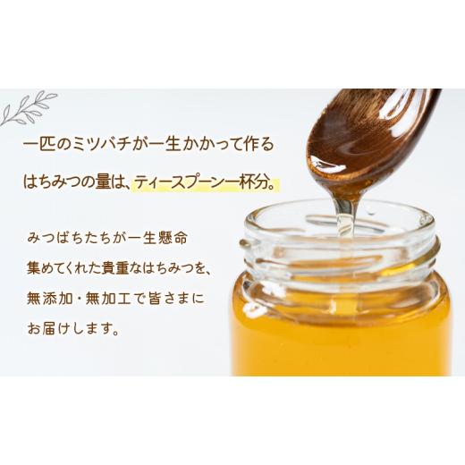 ふるさと納税 加工品等 はちみつ 岩手県 盛岡市 蜂蜜 たっぷり瓶 あかしあ 600g 2本セット アカシア 非加熱 盛岡産蜂蜜 はちみつ ハチミツ hatimitu hachimits…の画像