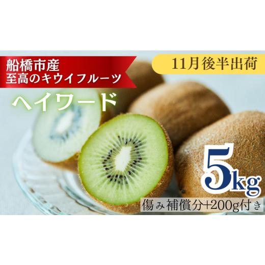 ふるさと納税 果物類 千葉県 船橋市 11月後半発送分 船橋産キウイフルーツ5.2kg未追熟バラ詰め 傷み補償分約200g込み 11月後半出荷分