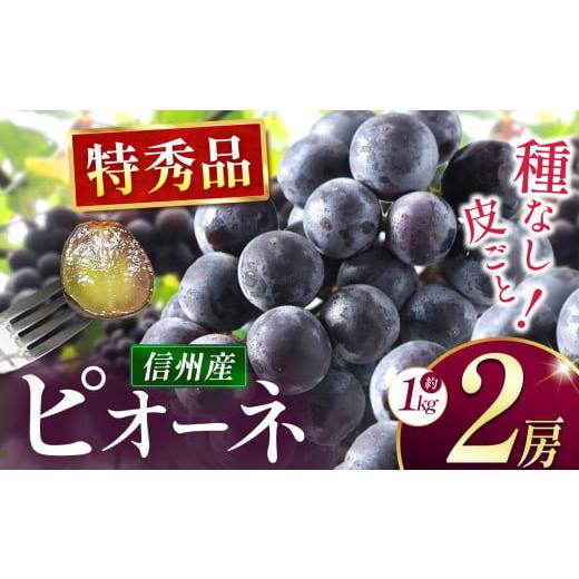 ふるさと納税 ぶどう 長野県 松本市 先行受付:2026年発送 種なしピオーネ 2房(約1kg)|ふるさと納税 松本市 ぶどう 種なしぶどう ピオーネ 果物 濃厚 農…