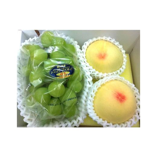 ふるさと納税 もも 岡山県 岡山市 2025年 岡山県産フルーツ詰め合わせ(シャインマスカット1房、桃2個入) | フルーツ 果物 くだもの シャインマスカット マス…