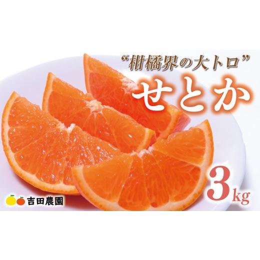 ふるさと納税 みかん・柑橘類 愛媛県 愛南町 数量限定 先行予約 せとか 3kg みかん サイズミックス 18000円 高級 人気 ブランド プレミアム 柑橘 果物 フルー…