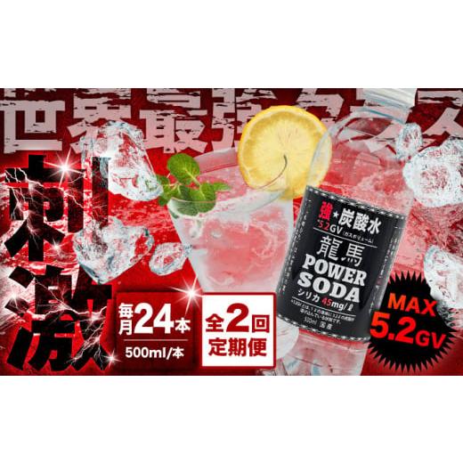 ふるさと納税 炭酸飲料 ソーダ水 大分県 日田市  全2回定期便 龍馬POWER SODA 500ml×24本 計48本 日田市 ／ 日本ビール株式会社 炭酸水 水 飲料水 みず ARER0…_1